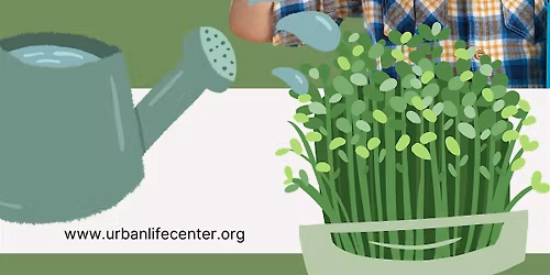 Grow Your Own Microgreens for Kids 6-10 yr. old