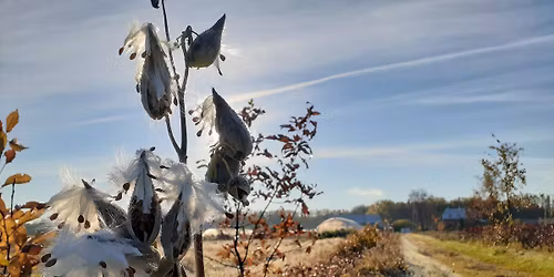 March\u00e9 Plantastique