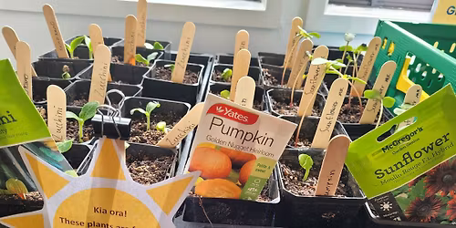 Wainuiomata Hub Garden Group