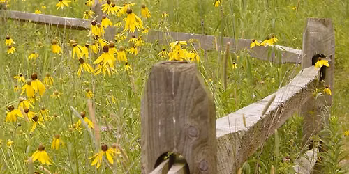 Evening Prairie Hike 