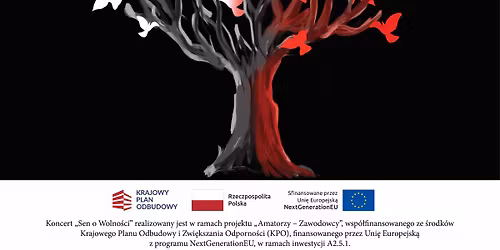 "Sen o Wolno\u015bci\u201d - koncert z okazji \u015awi\u0119ta Niepodleg\u0142o\u015bci