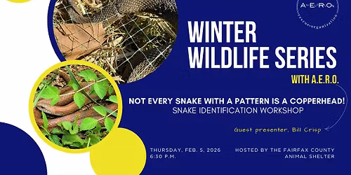 February Winter Wildlife Class With A.E.R.O.: Not Every Snake With a Pattern is a Copperhead!