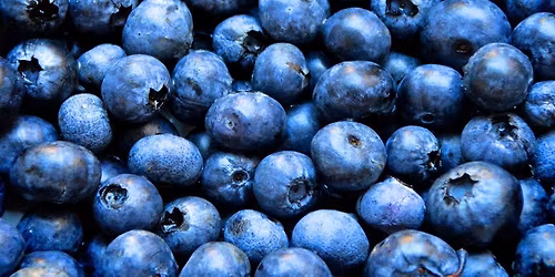 Ocala Blueberry Fest