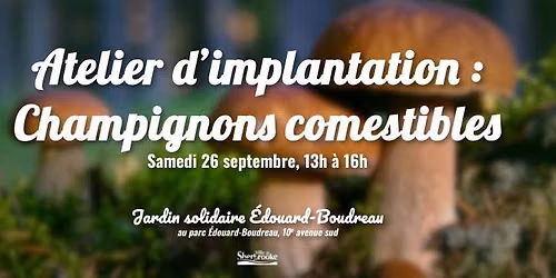 Atelier champignons comestibles