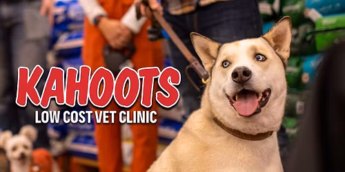 Vet Clinic at KAHOOTS Gaslamp