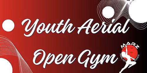 Youth Aerial Open Gym