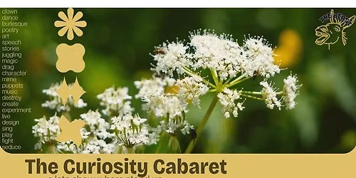 The Curiosity Cabaret - A Variety Show in English