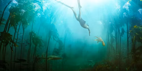 Tan\u00edt\u00f3m, a polip, dokumentumfilm, 2020