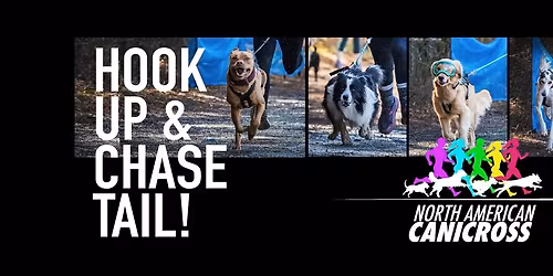 Safe Animal Shelter Fundraiser Trail Run 