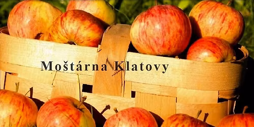 V\u00e1no\u010dn\u00ed mo\u0161tov\u00e1n\u00ed 2025