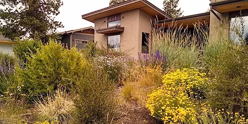 Transitioning Your Existing Garden