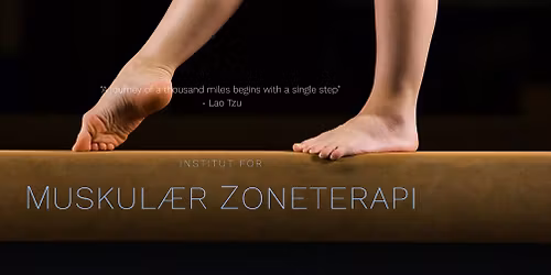 Muscular Reflexology level 2 in the Netherlands