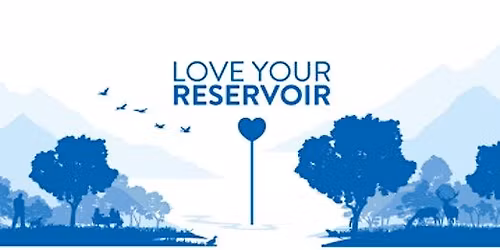 Beginner Bird ID walk