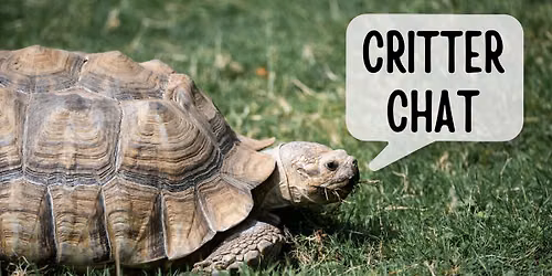 Critter Chat - August