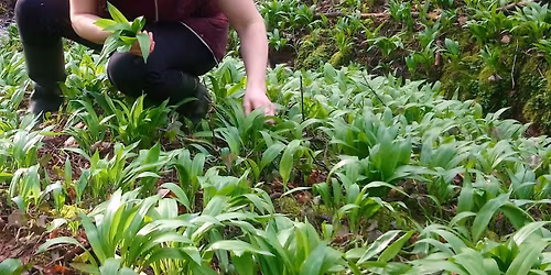 Wild Garlic Festival Workshop, Congleton 
