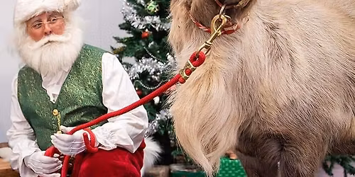 The Rusty Truck Market Days- The Reindeer & Gift Market