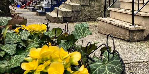 CSA Business Meeting