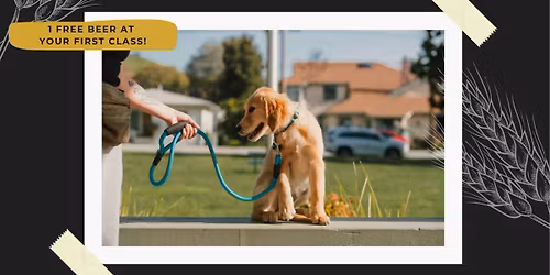 Puppy Class at Liability Brewing Co.