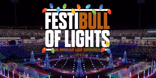 FestiBull of Lights