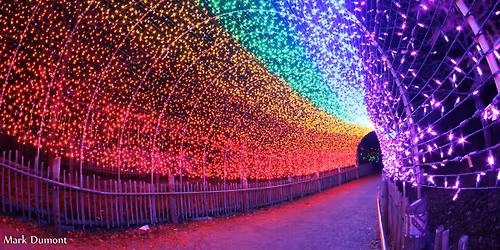 Festival of Lights - Cincinnati