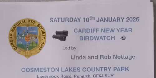 New Year Birdwatch