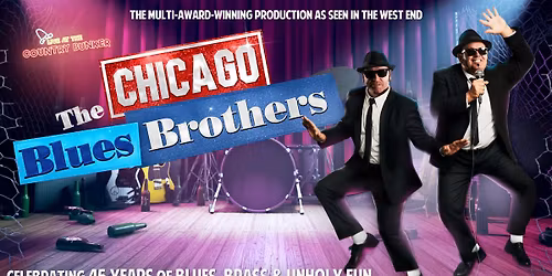 The Chicago Blues Brothers