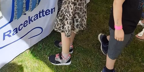 Racekatten til Sommerfest i Grundtvigskirken