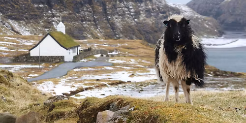 SOCIAL DINING MED F\u00c6R\u00d8SK TEMA