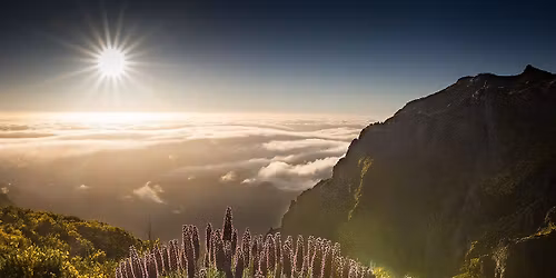 Madeira - ostrov v\u011b\u010dn\u00e9ho jara, lev\u00e1d a magick\u00fdch hor