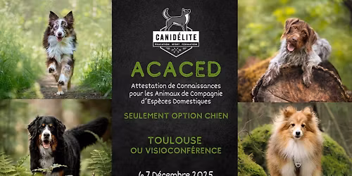 FORMATION ACACED CHIEN