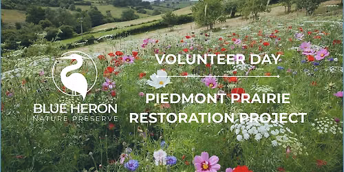 Prairie and Meadow Restoration - Volunteer Day