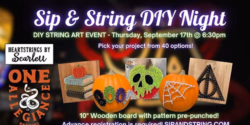 Sip & String at One Allegiance Brewing
