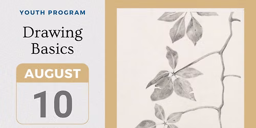 Youth Program: Drawing Basics
