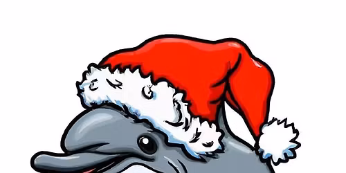 Flippers juleturnering