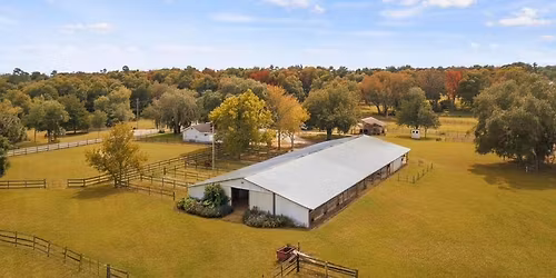 Sip & paint with the horses
