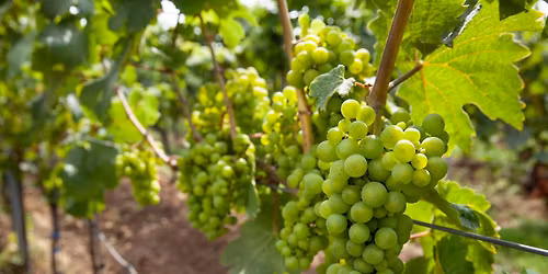 After Work: Tyskland og \u00d8sterrike