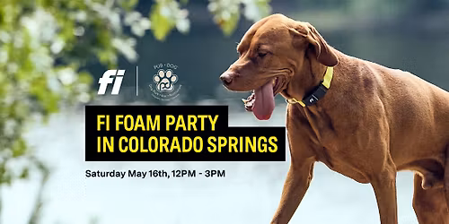 THE BIGGEST DOG FOAM PARTY IN COLORADO SPRINGS - FREE DOG MEETUP