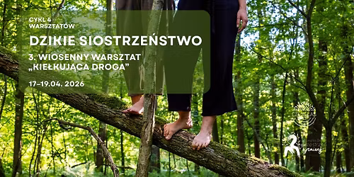 Dzikie Siostrze\u0144stwo: KIE\u0141KUJ\u0104CA DROGA