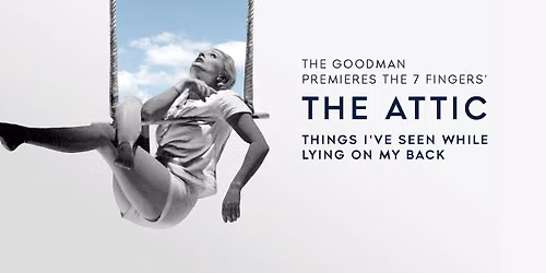 The 7 Fingers - The Attic at Goodman Theatre - Albert Theatre