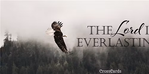 Lunch Mixer - Haven City Market