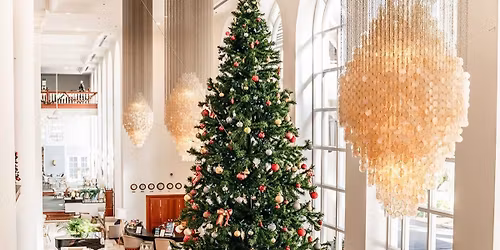 Annual Christmas Tree Lighting | Pullman Cairns International