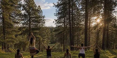 Adaptive Yoga - Online or In person