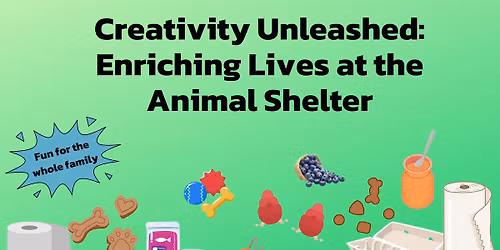 Creativity Unleashed: Enriching Lives at the Animal Shelter