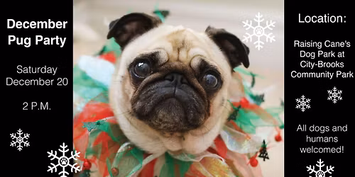 December Pug Party