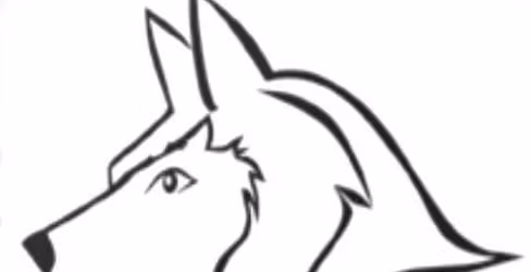 STP MOD Pizza Fundraiser