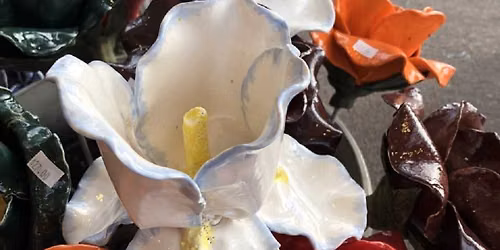 Class: Iris Flower