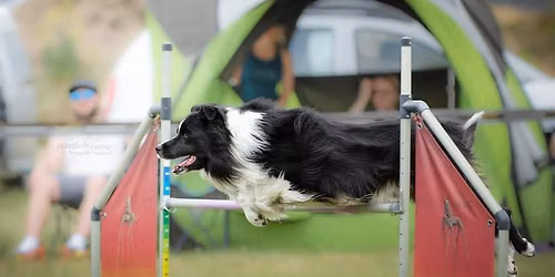 AGILITY- kurs dla pocz\u0105tkuj\u0105cych- Resko