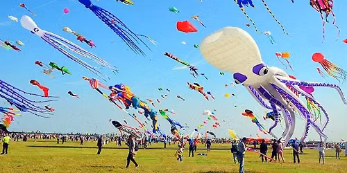 EXTRA: Pop-up! Kite Festival at Heartwood Park (SUNDAY)
