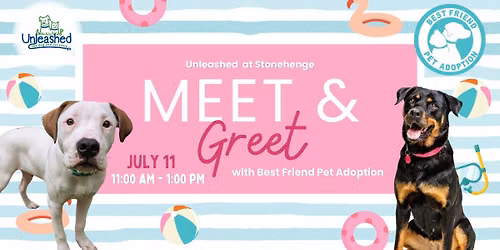Meet and greet with Best Friend Pet Adoption