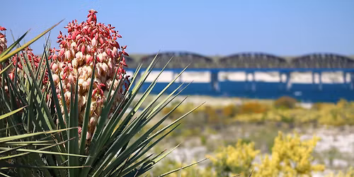 Amistad National Recreation Area Bird Walk